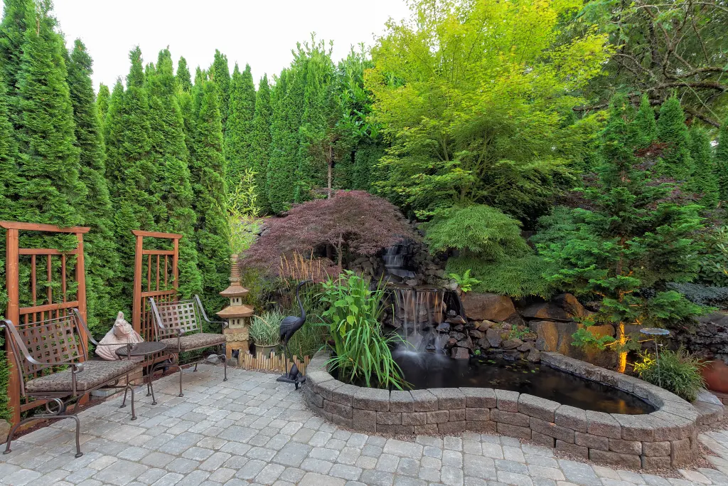 Arborvitae Backyard Landscaping with Waterfall Pond