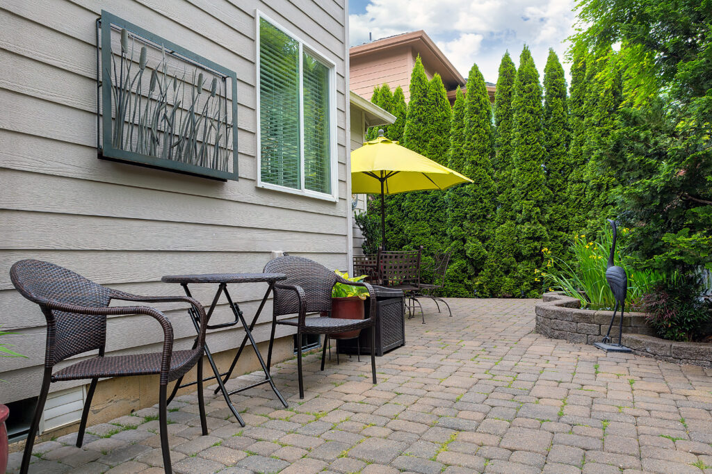 Arborvitae in Backyard Patio